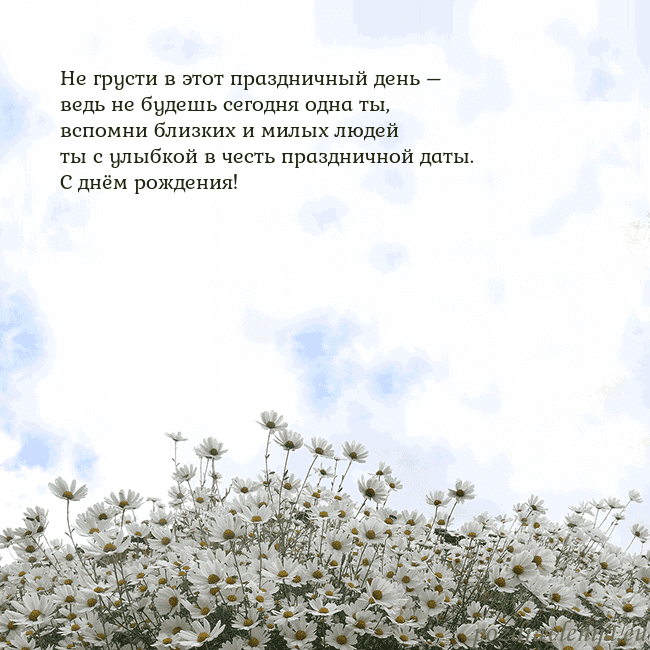 Открытка с ромашками