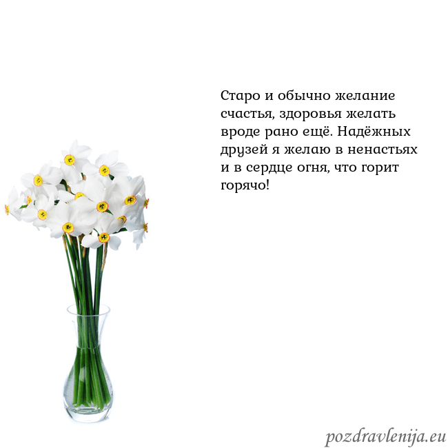 Открытка с нарциссами