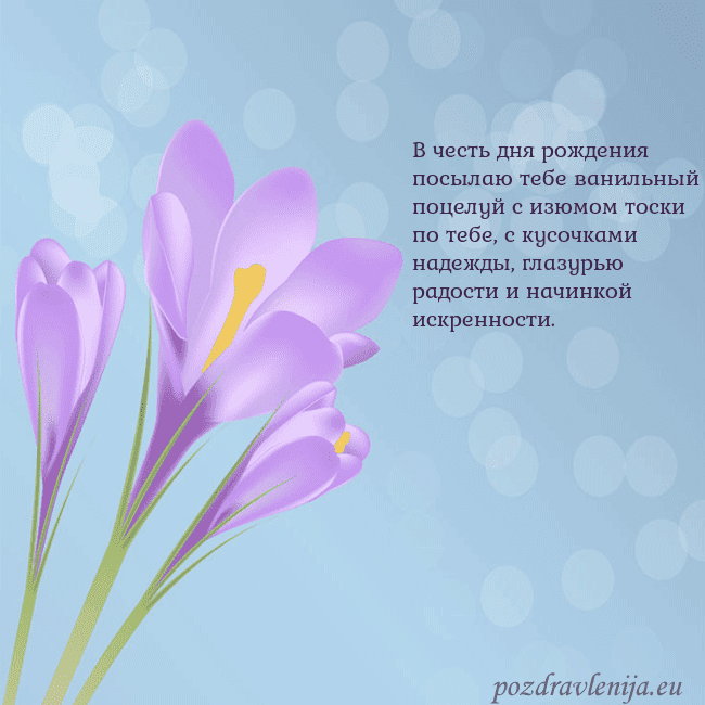 Открытка с крокусом