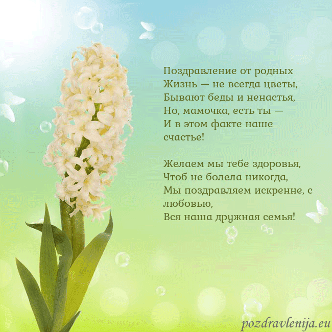 Открытка с гиацинтом