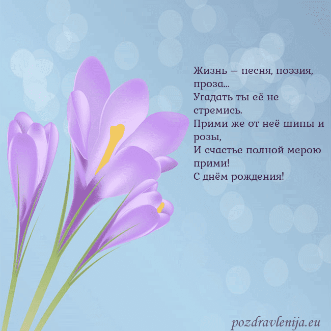 Открытка с крокусом