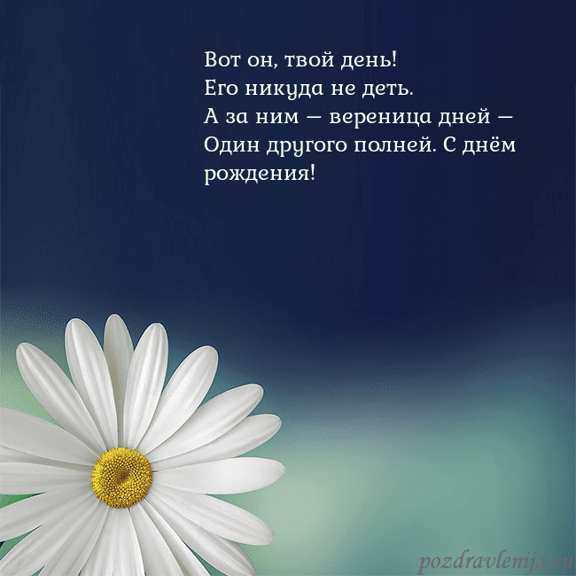 Открытка с большой ромашкой