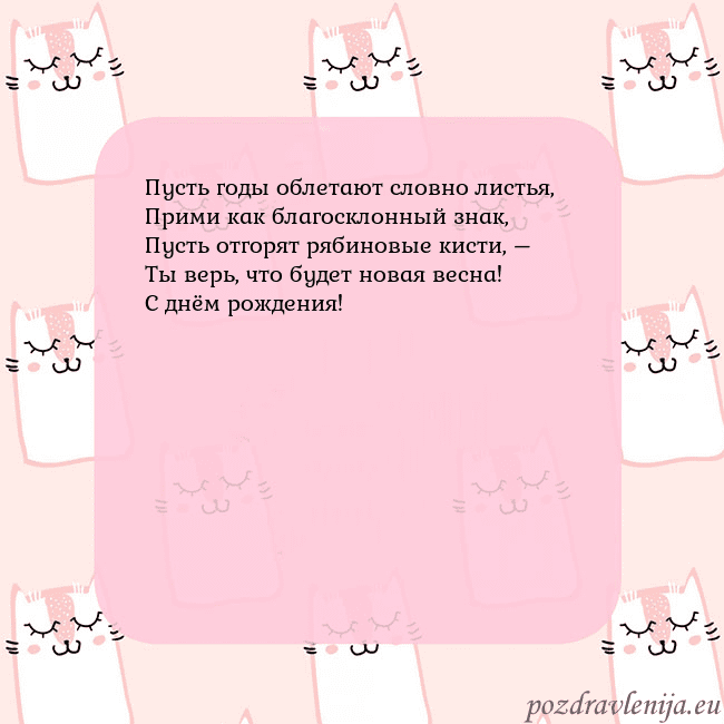 Розовая открытка с забавными кошками