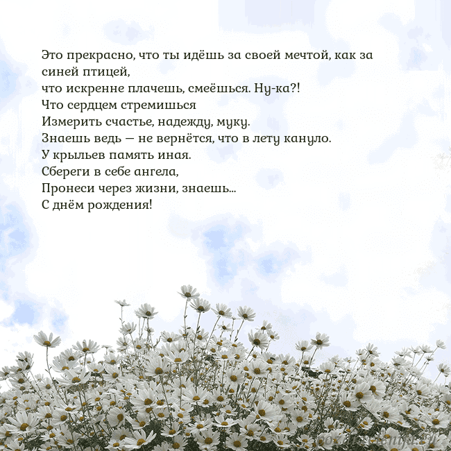 Открытка с ромашками