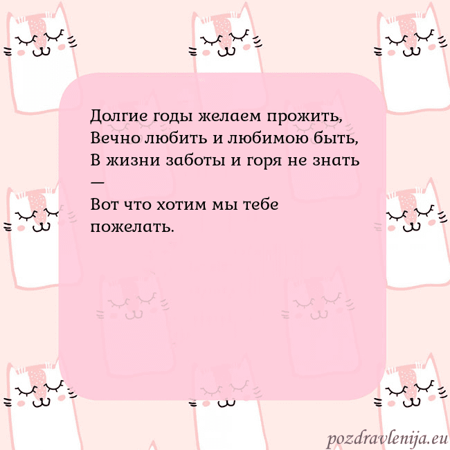 Розовая открытка с забавными кошками