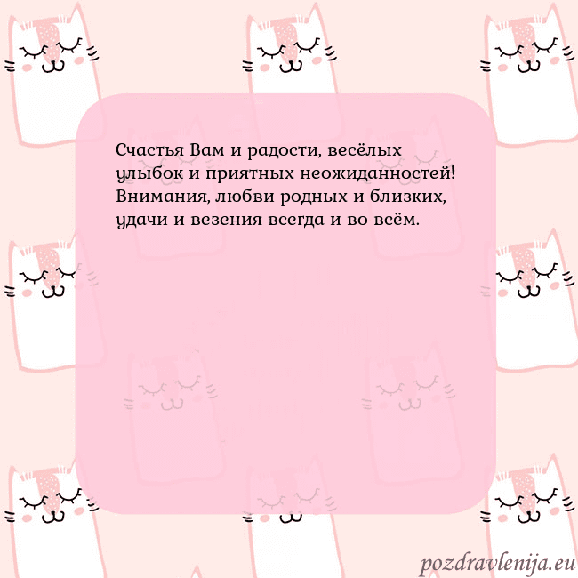 Розовая открытка с забавными кошками