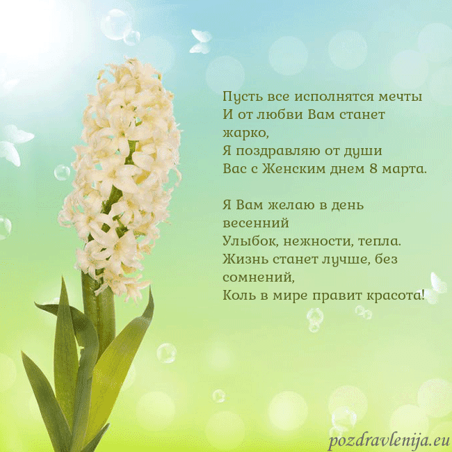 Открытка с гиацинтом Пусть все исполнятся мечты
И от любви Вам станет Открытка с гиацинтом