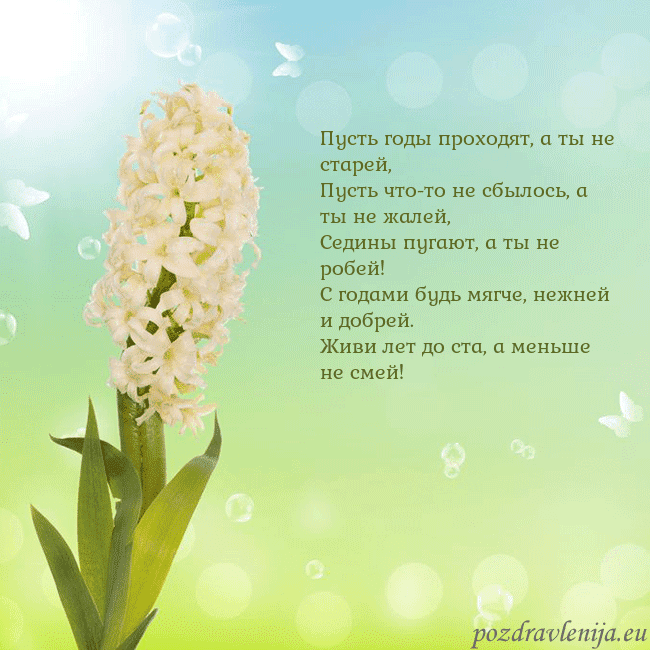 Открытка с гиацинтом