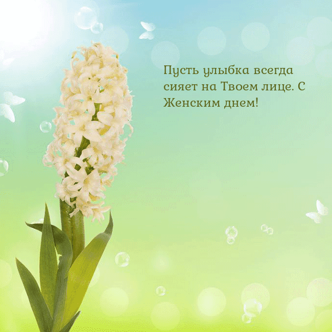 Открытка с гиацинтом