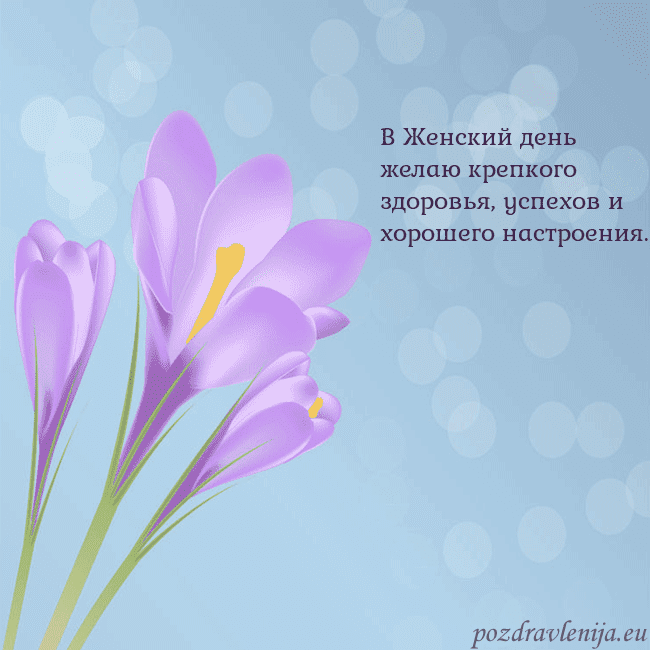Открытка с крокусом