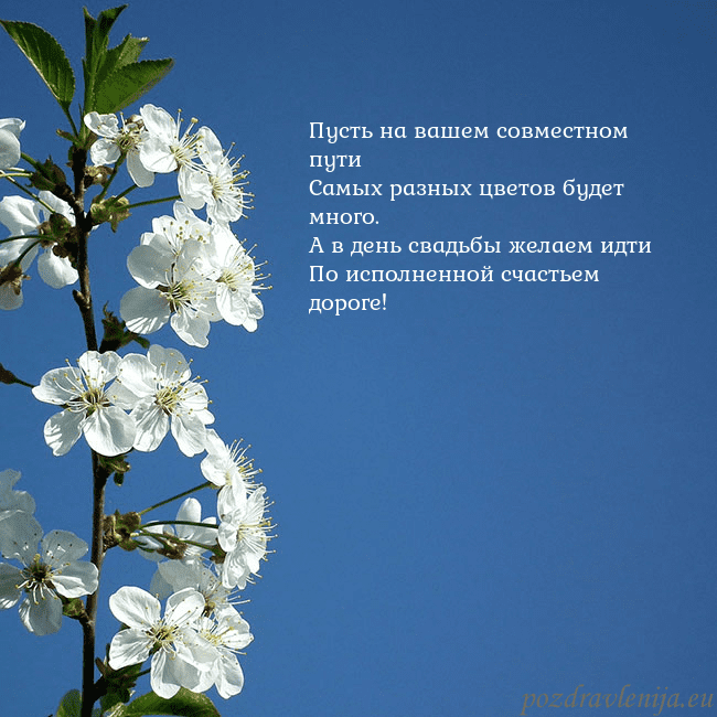 Открытка с весенними цветами Пусть на вашем совместном пути
Самых разных цвето Открытка с весенними цветами