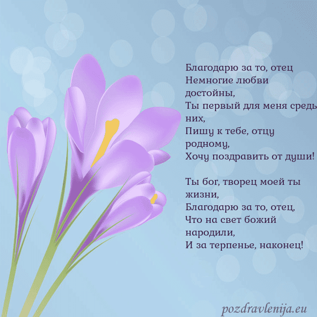 Открытка с крокусом