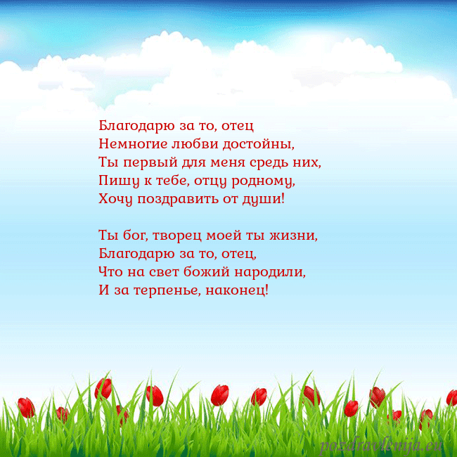 Открытка с тюльпанами