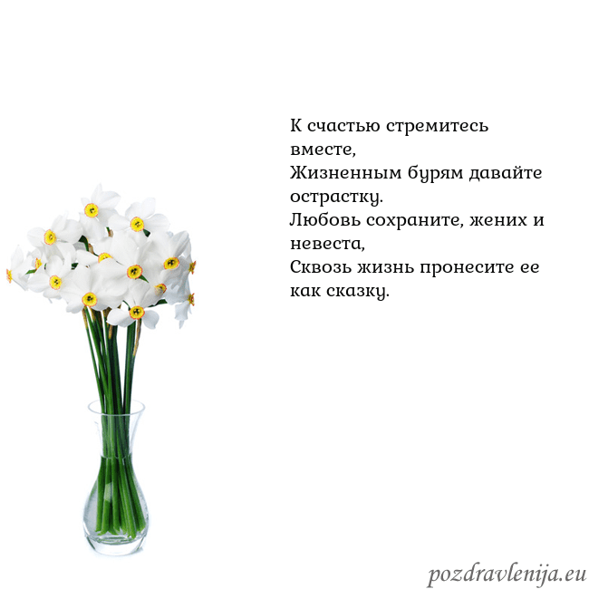 Открытка с нарциссами К счастью стремитесь вместе,
Жизненным бурям дава Открытка с нарциссами