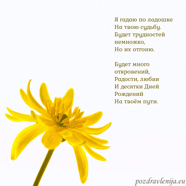 Открытка с желтым цветком