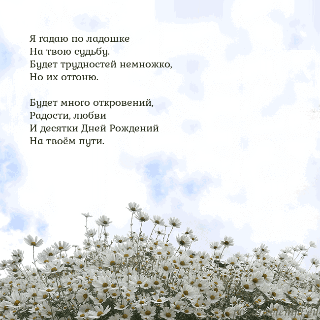 Открытка с ромашками