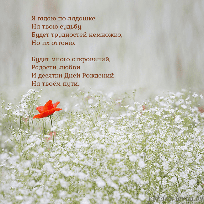 Электронная открытка с белыми цветами