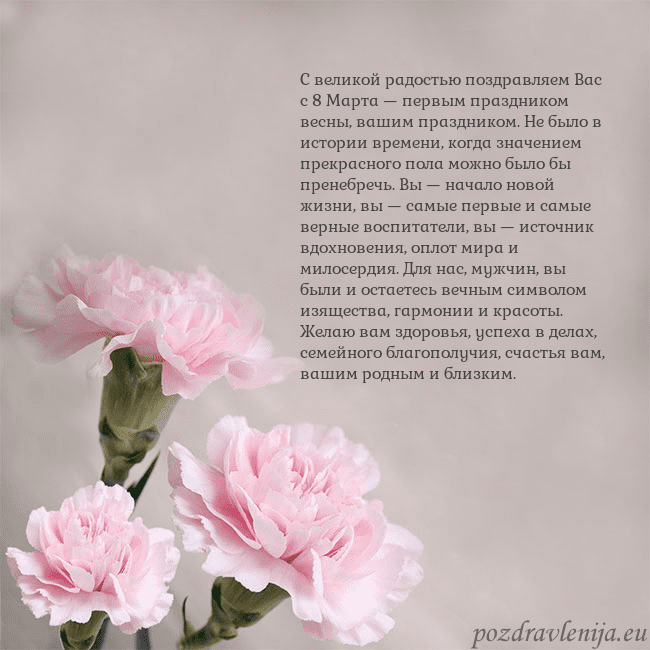 Открытка с розовыми гвоздиками С великой радостью поздравляем Вас с 8 Марта — пер Открытка с розовыми гвоздиками
