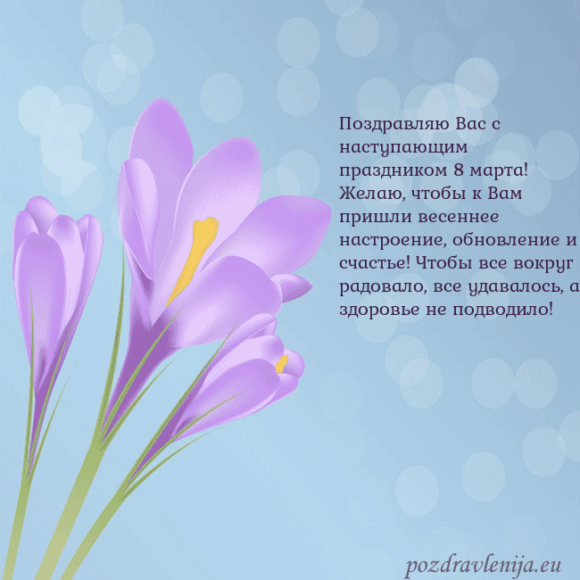 Открытка с крокусом