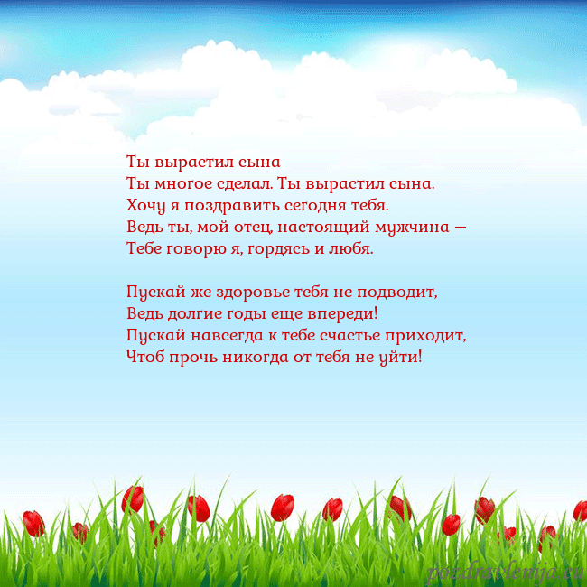 Открытка с тюльпанами