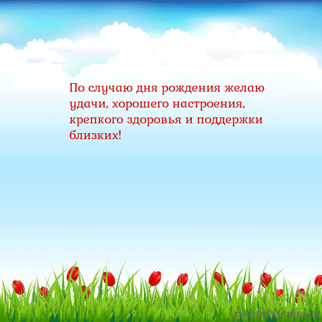 Открытка с тюльпанами