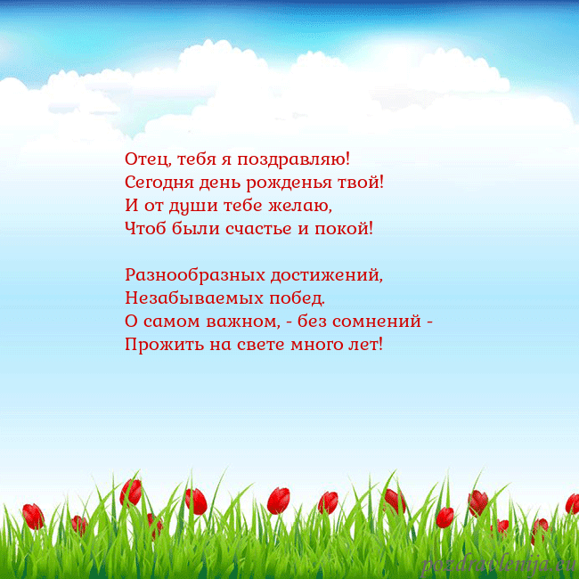 Открытка с тюльпанами