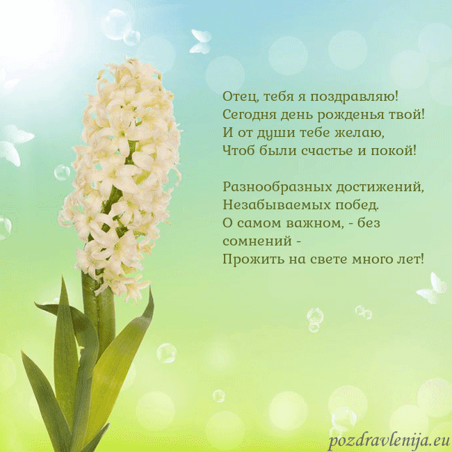 Открытка с гиацинтом
