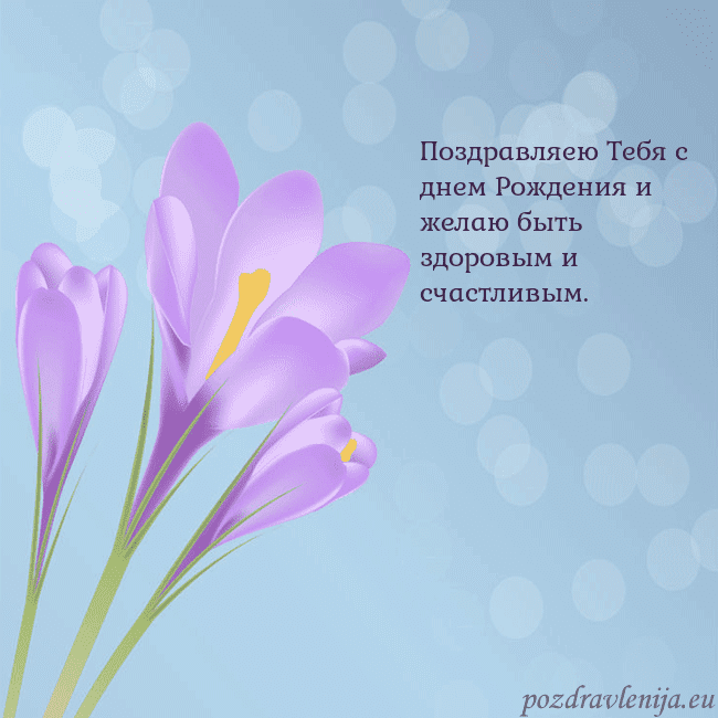 Открытка с крокусом