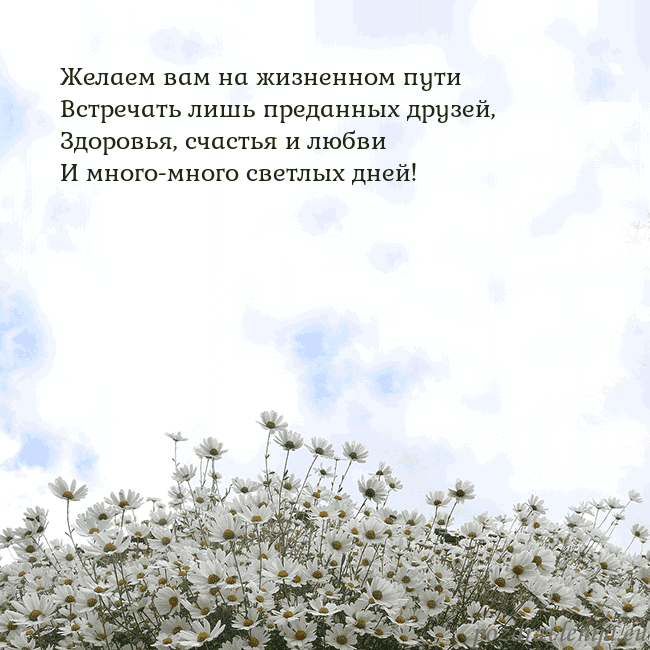 Открытка с ромашками