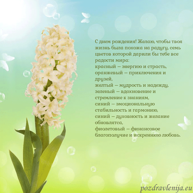 Открытка с гиацинтом