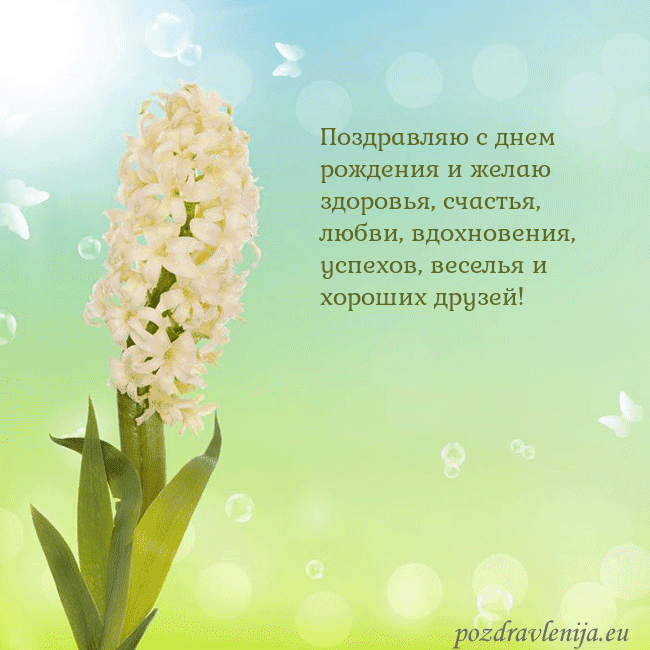 Открытка с гиацинтом