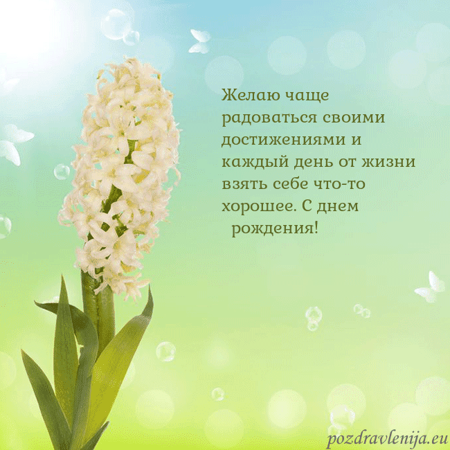 Открытка с гиацинтом