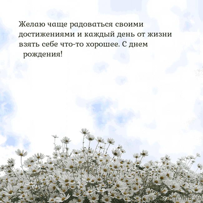 Открытка с ромашками