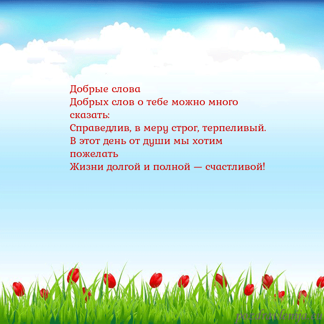 Открытка с тюльпанами