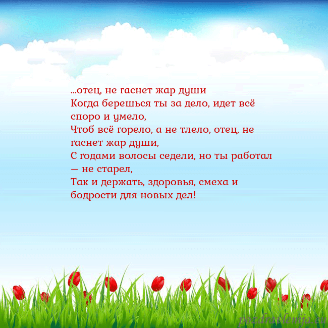 Открытка с тюльпанами