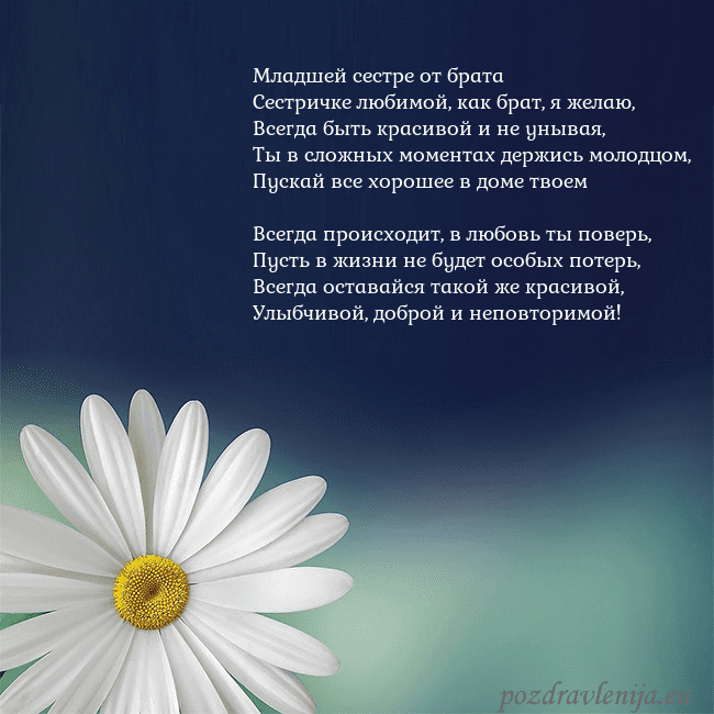 Открытка с большой ромашкой