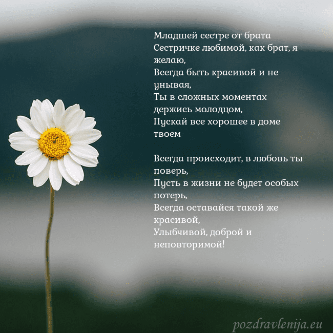 Электронная открытка с ромашкой