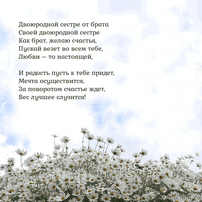 Открытка с ромашками