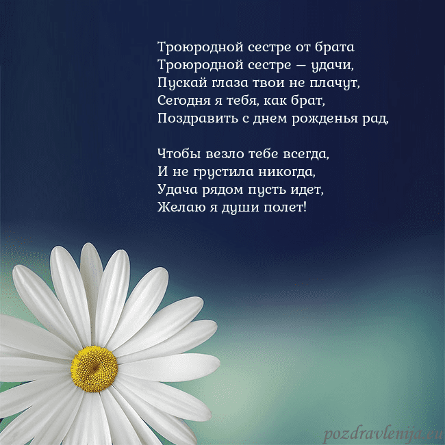 Открытка с большой ромашкой