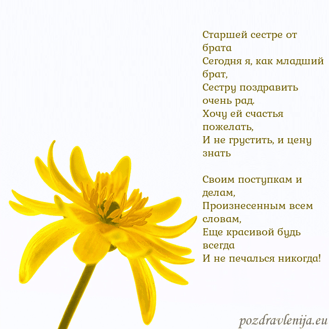 Открытка с желтым цветком