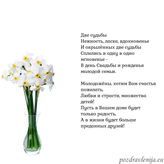 Открытка с нарциссами