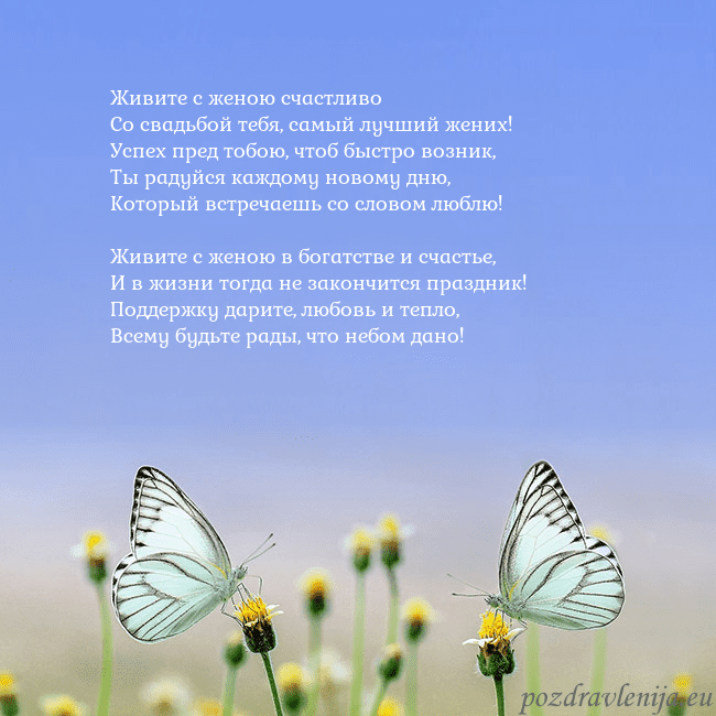 Свадебная открытка с двумя бабочками Живите с женою счастливо
Со свадьбой тебя, самый л Свадебная открытка с двумя бабочками