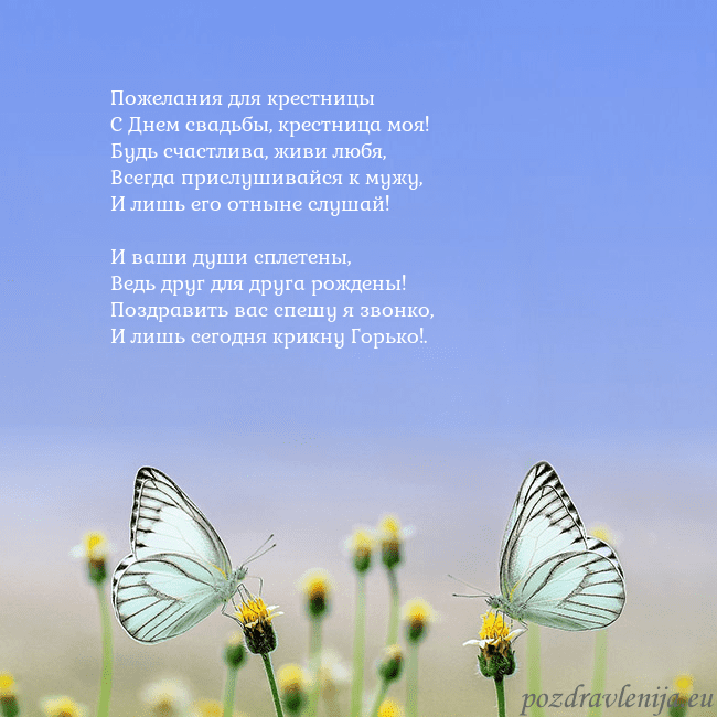 Свадебная открытка с двумя бабочками Пожелания для крестницы
С Днем свадьбы, крестница Свадебная открытка с двумя бабочками