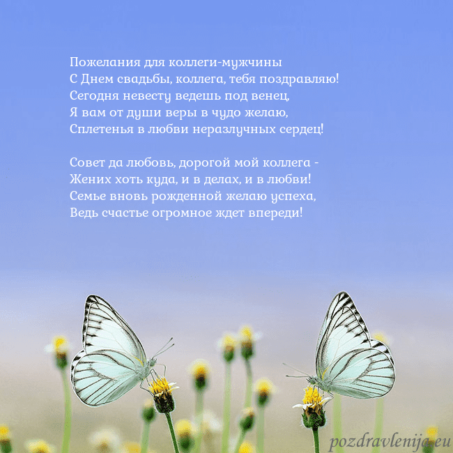 Свадебная открытка с двумя бабочками Пожелания для коллеги-мужчины
С Днем свадьбы, колл Свадебная открытка с двумя бабочками
