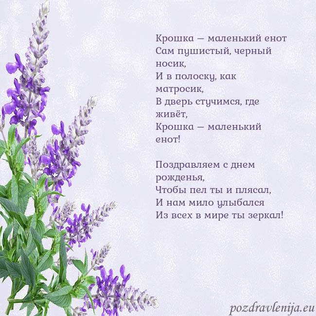 Открытка с люпинами