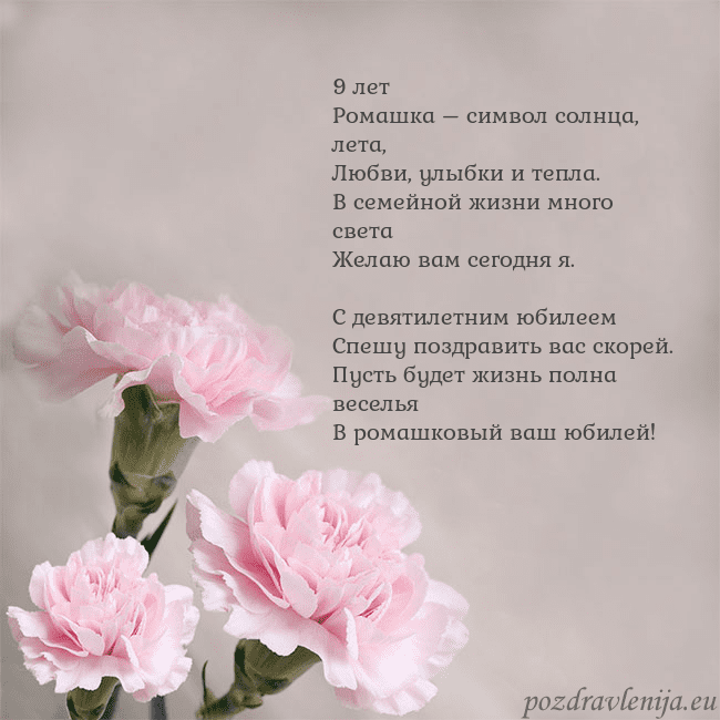 Открытка с розовыми гвоздиками 9 лет
Ромашка – символ солнца, лета,
Любви, улыбки Открытка с розовыми гвоздиками