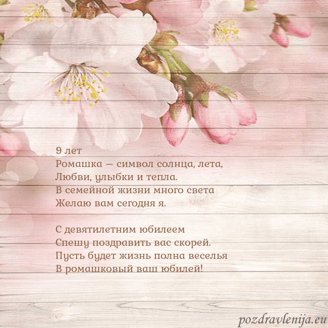 Открытка с цветами яблони 9 лет
Ромашка – символ солнца, лета,
Любви, улыбки Открытка с цветами яблони