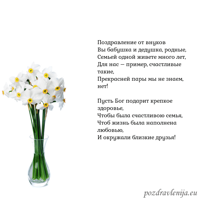 Открытка с нарциссами Поздравление от внуков
Вы бабушка и дедушка, родны Открытка с нарциссами