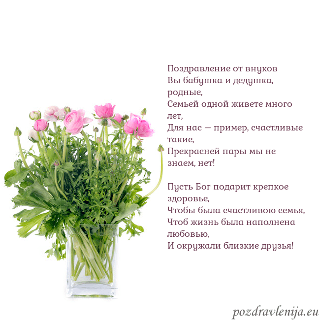 Открытка с цветами в вазе Поздравление от внуков
Вы бабушка и дедушка, родны Открытка с цветами в вазе