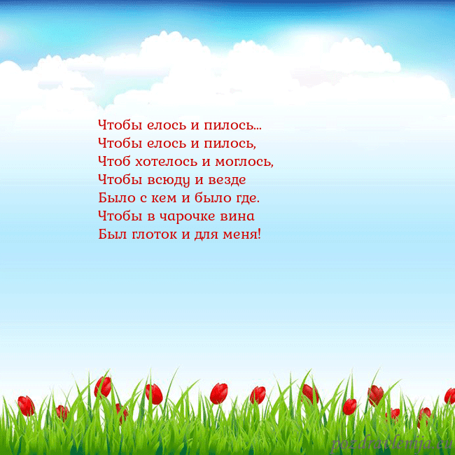 Открытка с тюльпанами